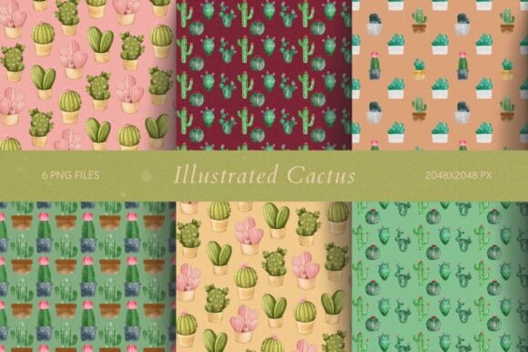 Download Illustrated Cactus - Premium Resources