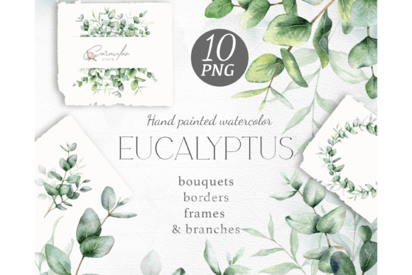 Download Eucalyptus Watercolor Clipart - Premium Resources
