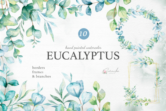 Download Eucalyptus Watercolor Clipart - Premium Resources